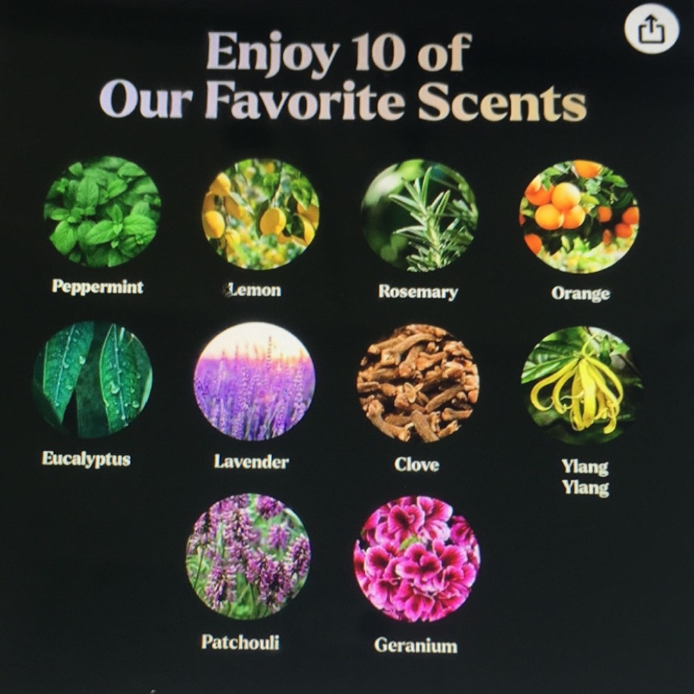 NEW Lagunamoon Essential Oils 100% Pure Therapeutic Grade Grade Top 10 set - Picture 5 of 5